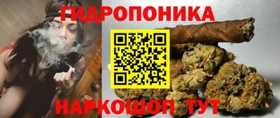 spice Тара