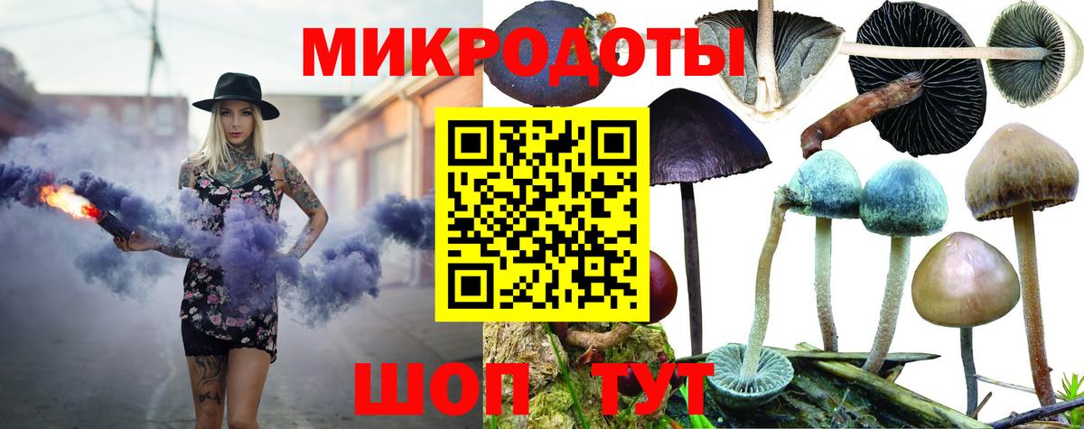 Псилоцибиновые грибы Psilocybine cubensis  Вход с VPN  Мончегорск 